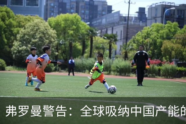 弗罗曼警告：全球吸纳中国产能的极限即将到达